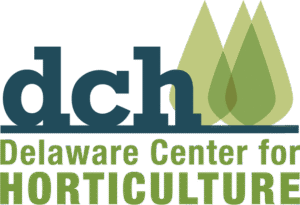 dch_logo1-Transparent-2