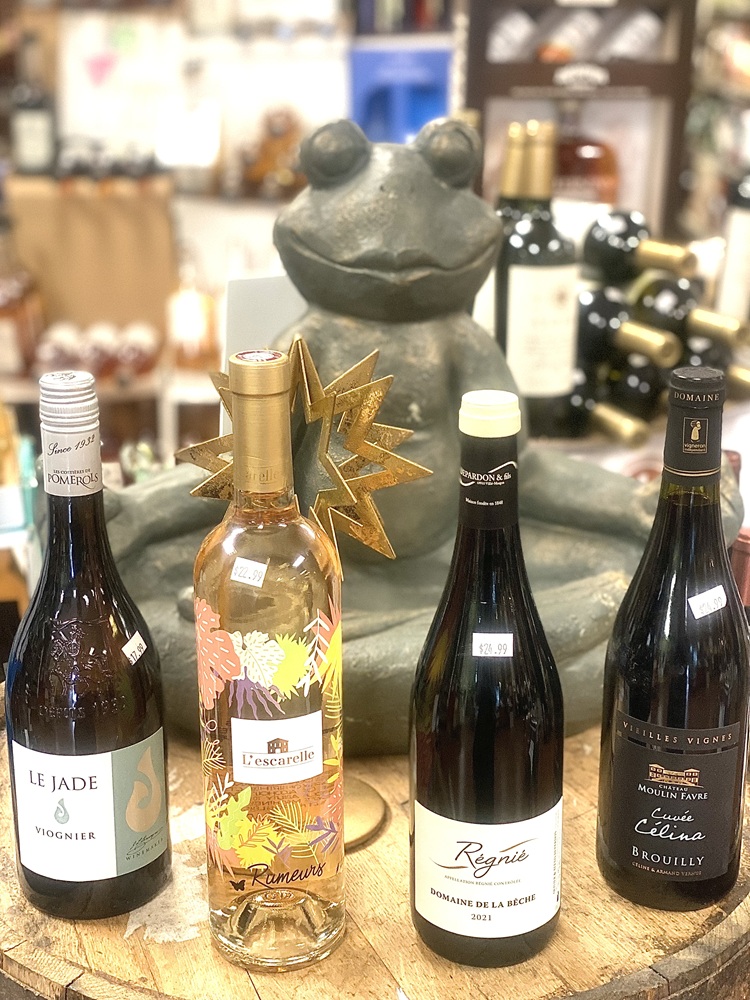 Nikki from Elevation